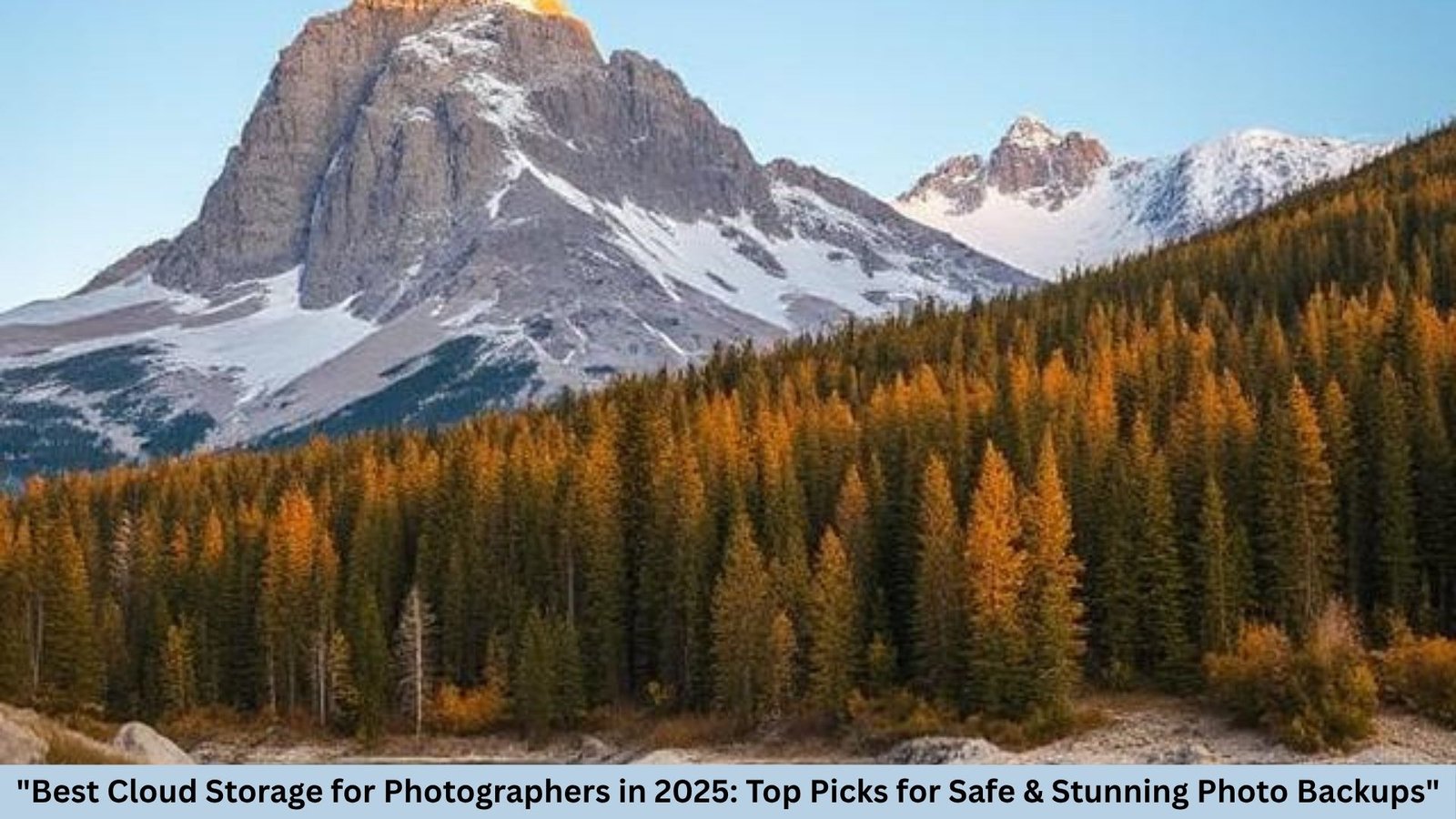 "Best Cloud Storage for Photographers in 2025: Top Picks for Safe & Stunning Photo Backups"