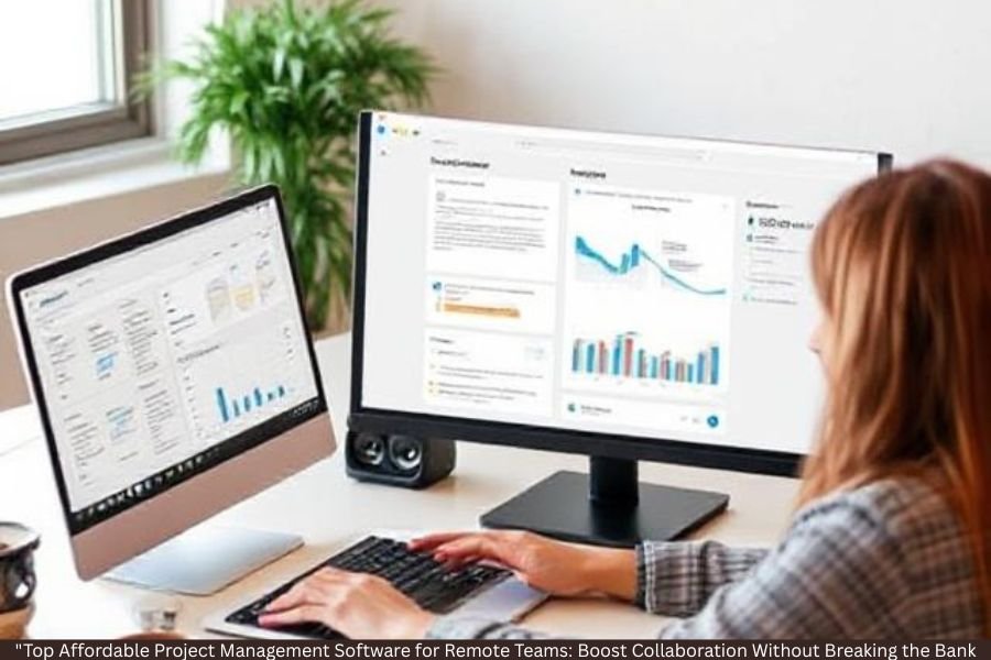 Affordable Project Management Software for Remote Teams
